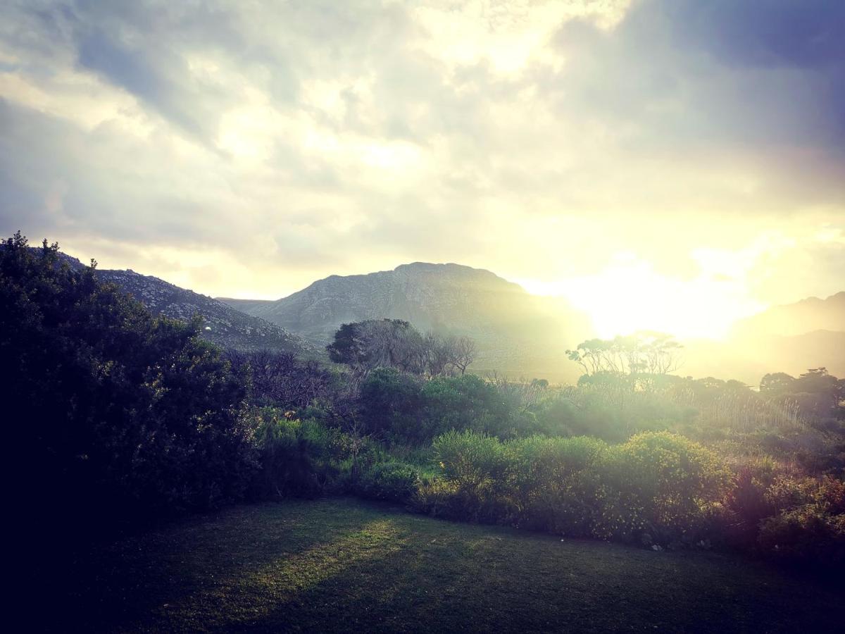 The Crowded House Villa Pringle Bay Buitenkant foto