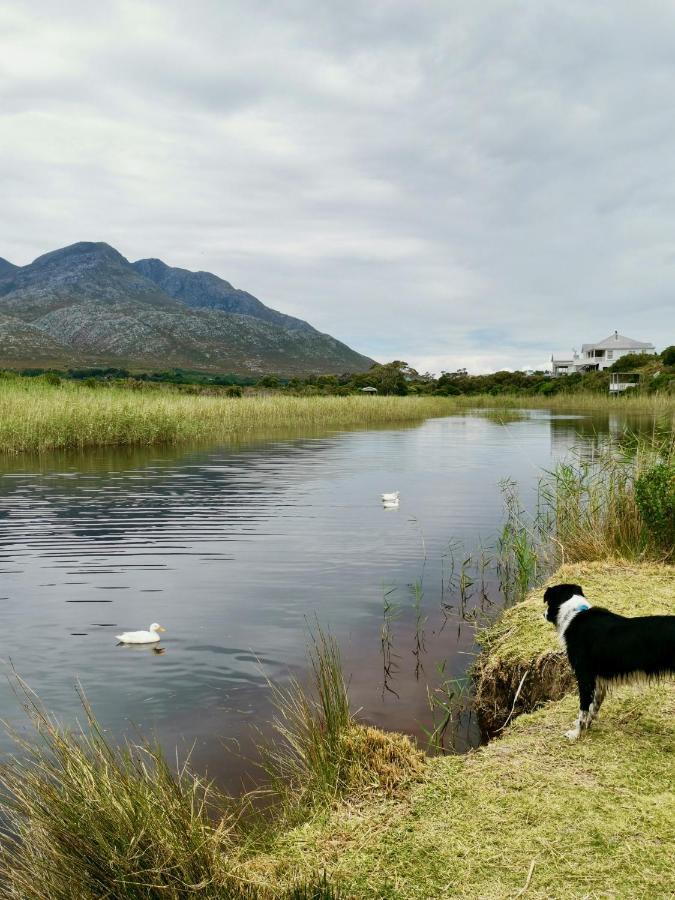 The Crowded House Villa Pringle Bay Buitenkant foto