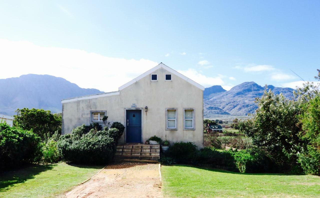 The Crowded House Villa Pringle Bay Buitenkant foto